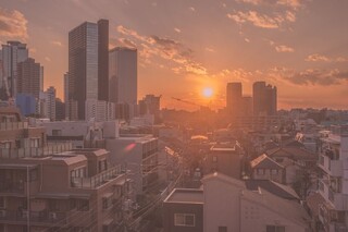 日本における弁護士の歴史