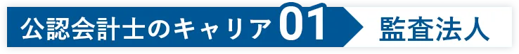 公認会計士のキャリア01 監査法人